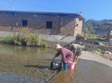 福建永安：文江溪畔的一場(chǎng)特殊生態(tài)補(bǔ)償