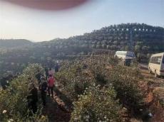 湖南瀘溪華強(qiáng)油茶攜手千戶農(nóng)民共繪鄉(xiāng)村振興新畫卷