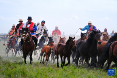 青海海西：歡樂(lè)那達(dá)慕