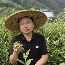 湖南福延峰茶業(yè)：茶科技助推鄉(xiāng)村振興見(jiàn)成效