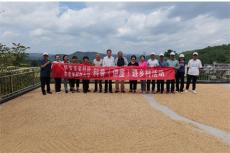 六大河報道 | 貴州省市老科協(xié)在黔西錦星開展水稻測產(chǎn)活動