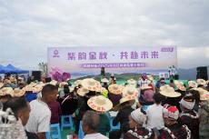 貴州臺(tái)江：高山紫薯迎豐收 “小特產(chǎn)”做成鄉(xiāng)村振興大產(chǎn)業(yè)