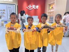 長沙縣舉行“筑夢(mèng)中國”古建筑拼圖親子活動(dòng)