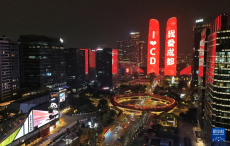 成都裸眼3D數(shù)字熊貓上新動效