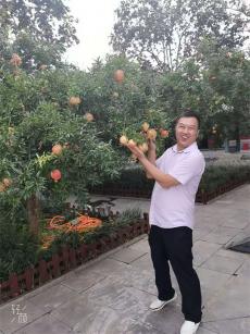 《沉默的榮耀》：于無聲處聽驚雷，向死而生鑄豐碑?