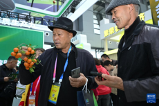 第32屆中國楊凌農(nóng)高會探尋農(nóng)業(yè)新質(zhì)未來