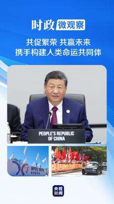 促進(jìn)世界和平與發(fā)展的中國(guó)擔(dān)當(dāng)