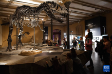 柏林：博物館里的科學(xué)“校園”