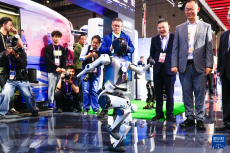 第八屆進(jìn)博會(huì)丨中國(guó)館精彩亮相