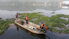 福建永安：“組合拳”治理水葫蘆 守護(hù)河道綠水長(zhǎng)流