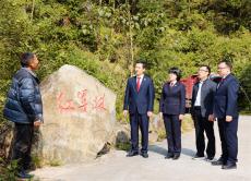 行政司法“組團(tuán)護(hù)綠” 四部門“紅軍林 古樹立“令”護(hù)航