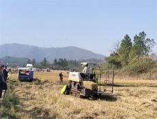 科技賦能秸稈變寶！邵東市舉辦秸稈綜合利用現(xiàn)場演示會