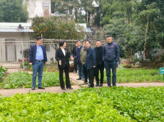 岳陽市社科聯(lián)深入基層調研，助推學校勞動教育工作發(fā)展