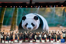 2025全球熊貓伙伴大會(huì)開幕