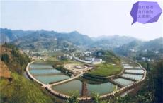 特別篇丨貴商的“太極”符號：共產(chǎn)黨員張萬登同志追記