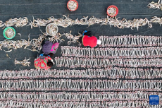 冬日海產(chǎn)品晾曬忙