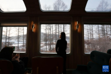 “伊春號”冰雪旅游專列投入試運行