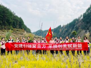 黨建引領聚合力，采摘創(chuàng)美賦新能