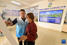 廣西南寧：零工市場“全鏈條”提供就業(yè)服務