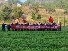 從“節(jié)日服務(wù)”到“常態(tài)扎根”