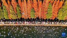 滇池：美景如畫引客來