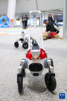 深圳地鐵試點啟用智能導盲犬服務