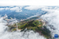 重慶冷水鎮(zhèn)：生態(tài)旅游助力鄉(xiāng)村振興