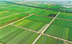 【沿著總書記的足跡】綠色富民