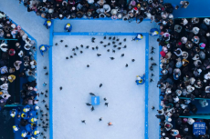 哈爾濱：百只企鵝巡游